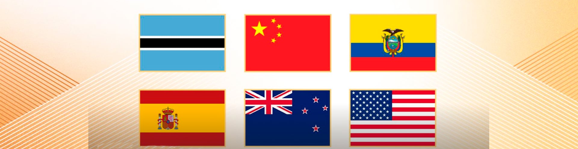 España nominada premios WA 2025