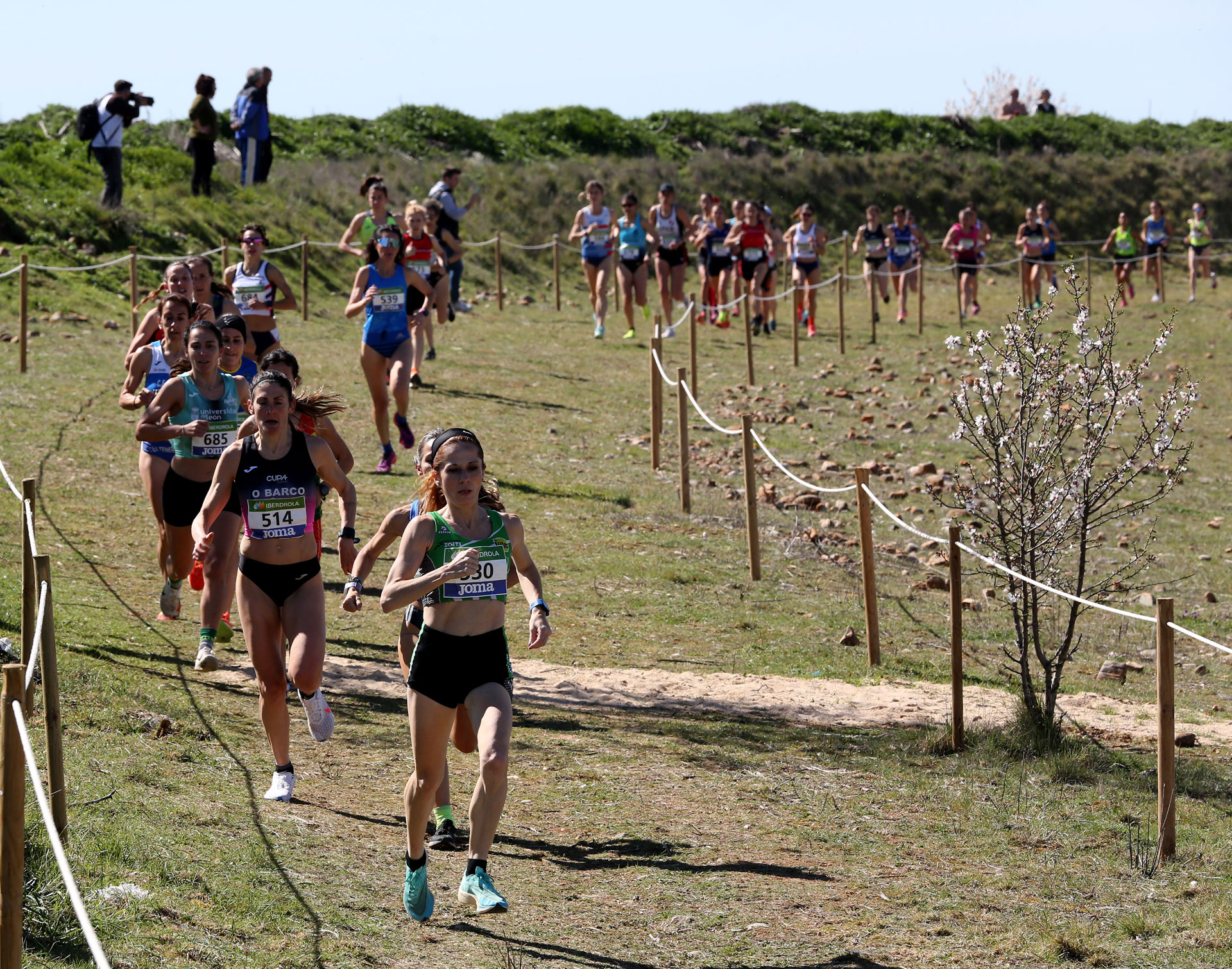 cross master