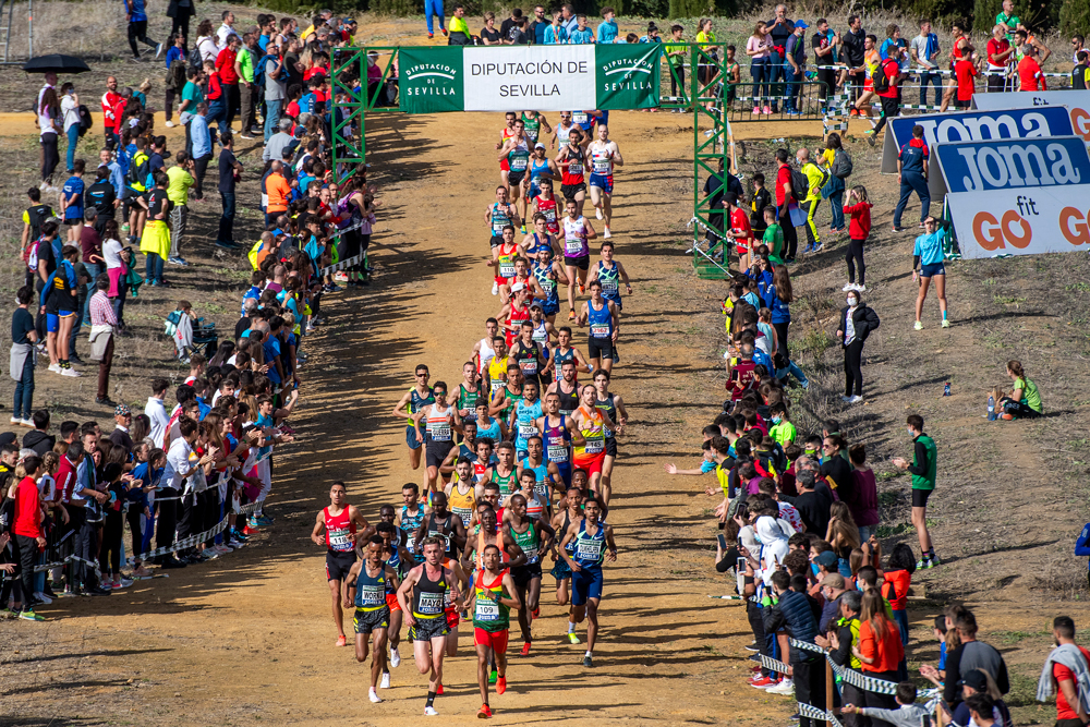 Cross Clubes hombres absoluto