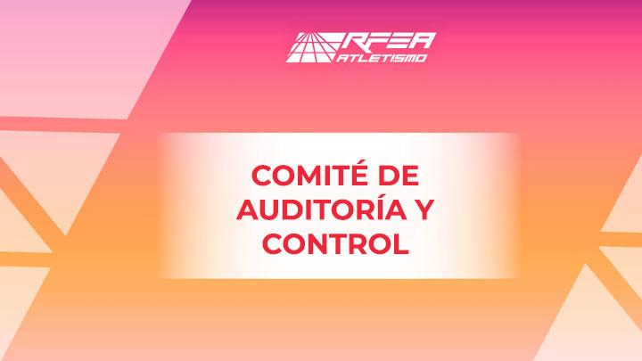 Comité de Auditoría y Control