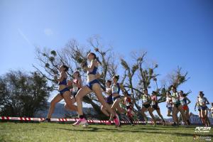 El Cross de Soria batirá todos sus récords en Valonsadero