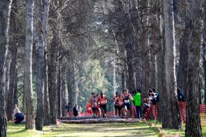 Getafe acoge de nuevo al cross español